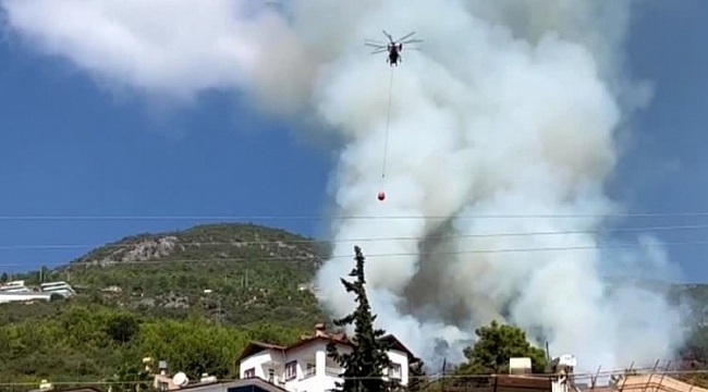 Antalya'da orman yangını
