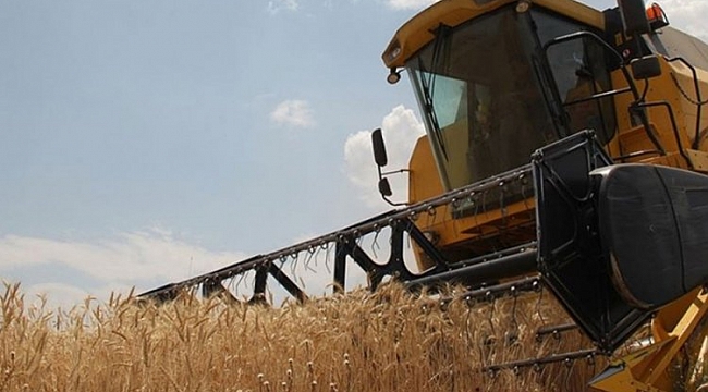 Buğday ve arpa desteğinin süresi uzatıldı