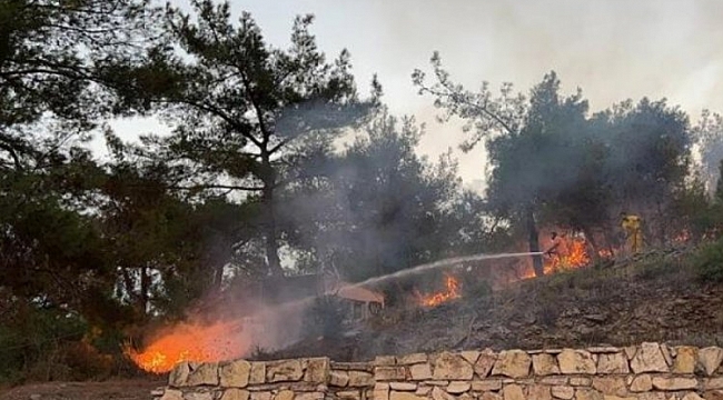 Hatay'da orman yangını