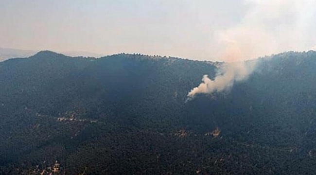 Isparta'da orman yangını