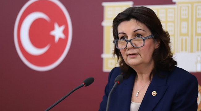 Lale Karabıyık'tan, Bakan Özer'e soru önergesi