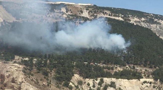 Manisa Soma'da orman yangını