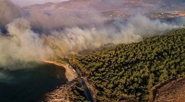 Mersin'deki orman yangını kontrol altına alındı