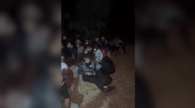 Muğla'da 48 düzensiz göçmen yakalandı