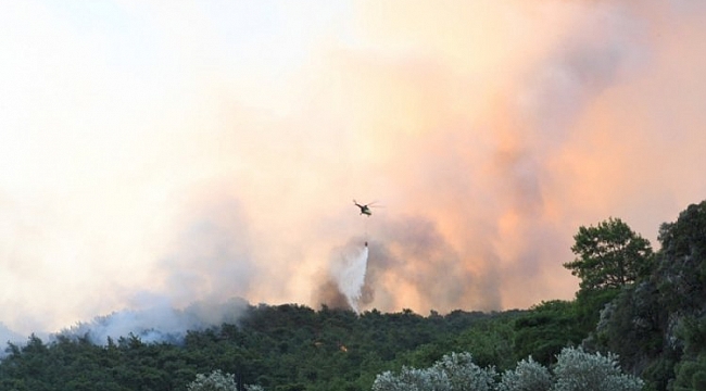 Muğla'daki orman yangını kontrol altına alındı