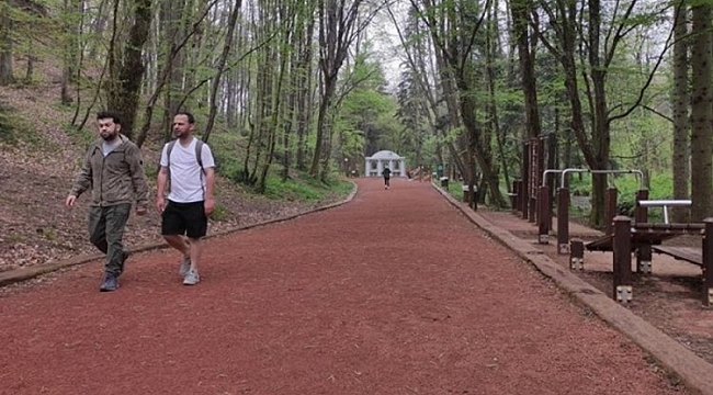 Ormanlara giriş yasağı sona erdi!