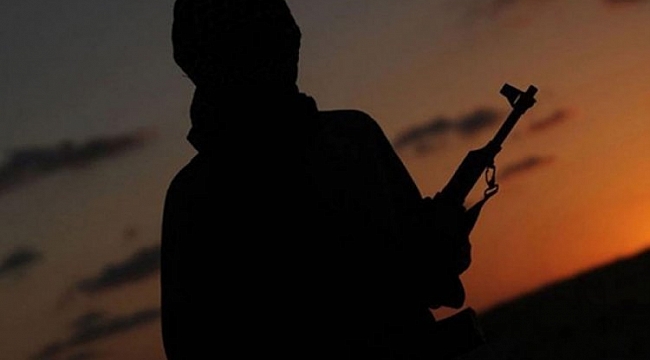 Terör örgütü PKK'ya bir darbe daha