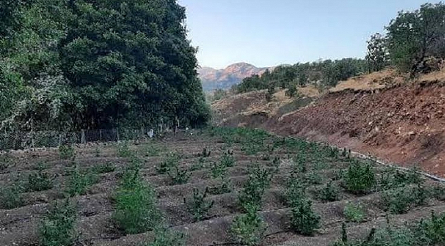 Terör örgütünün finans kaynağına darbe