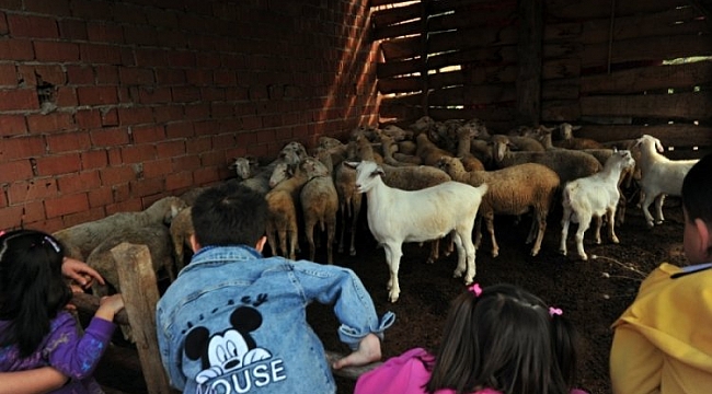 Bursa'da çocuklar için köy yaşamı projesi