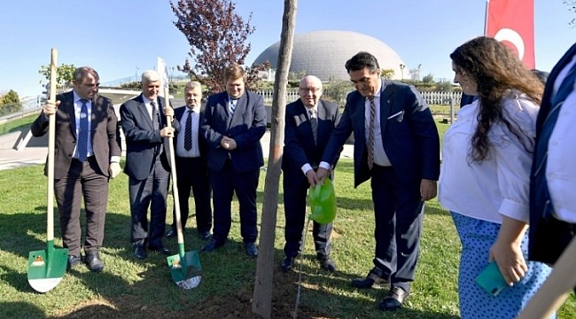 Bursa'nın erguvanları Almanya'da kök salacak