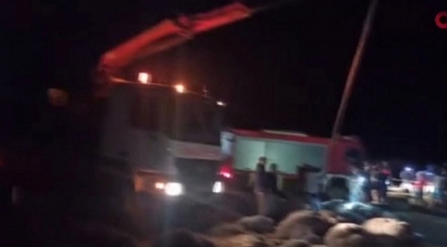 Ege'de düzensiz göçmen faciası