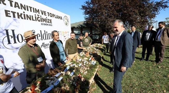Mantar avcıları İnegöl'de buluştu