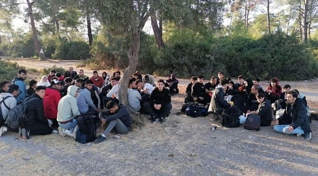 Muğla'da 64 kaçak göçmen yakalandı
