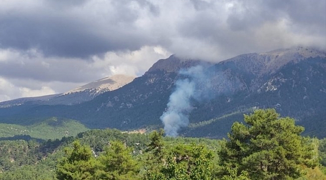 Muğla'da orman yangını çıktı