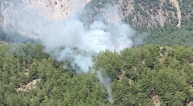 Muğla'daki orman yangınında 1 hektar alan zarar gördü