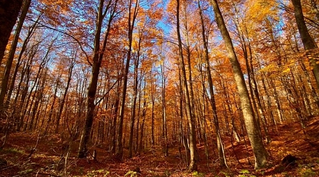 Bursa'da hava nasıl olacak?