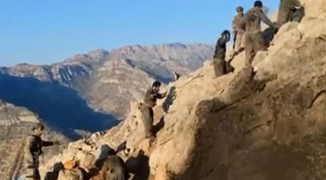 PKK'lı teröristler teslim oldu