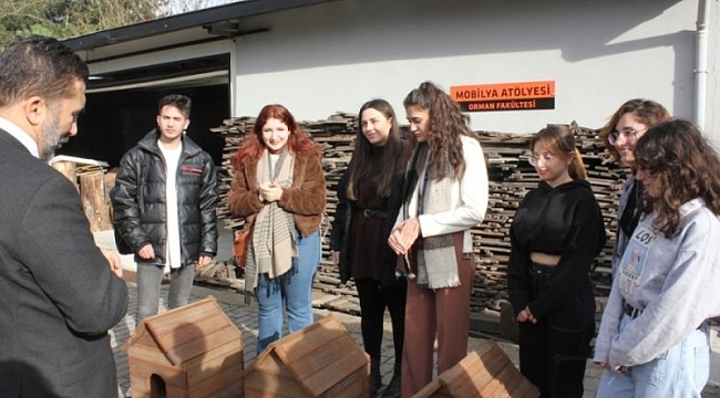 BTÜ'den sokak kedilerine yuva