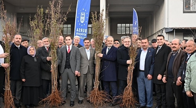 Bursa'da 20 bin fidan çiftçilerle buluşturuldu