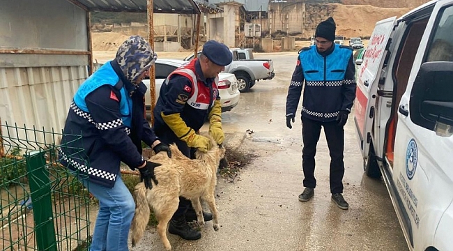 Bursa'da jandarma timleri görev başında