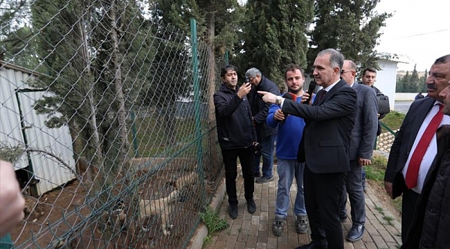 İnegöl'de E-Devlet üzerinden hayvan sahiplenme işlemi başladı