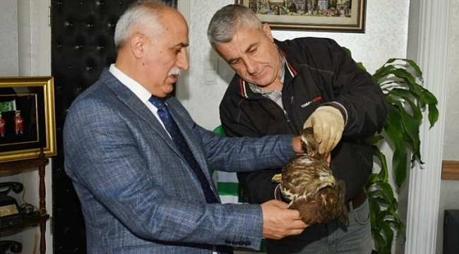 Yaralı şahine Başkan Aydın sahip çıktı
