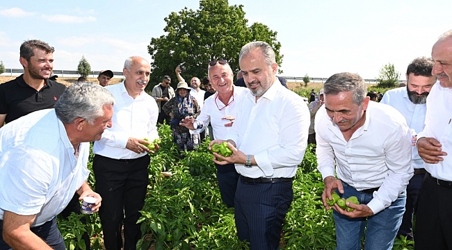 Yenişehir biberi'ne de tescil belgesi