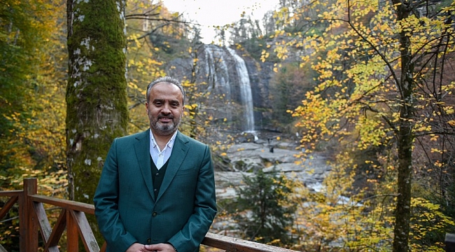Bursa'da 1000 ağaç kesilmekten kurtuldu