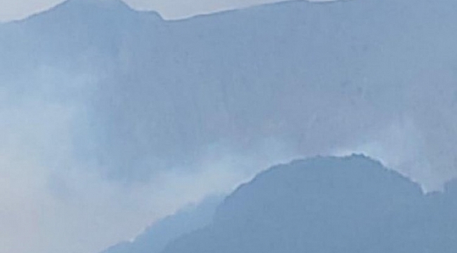 Denizli'de orman yangını çıktı