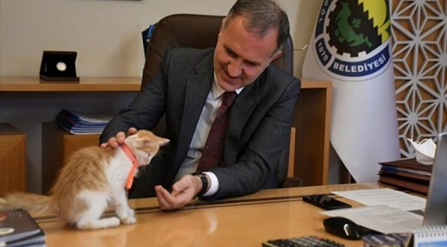 İnegöl'de can dostlar güvende