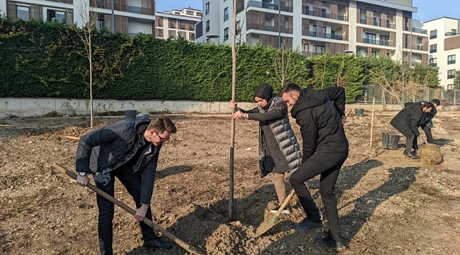 Nilüfer'de ağaçlandırma çalışmaları başladı