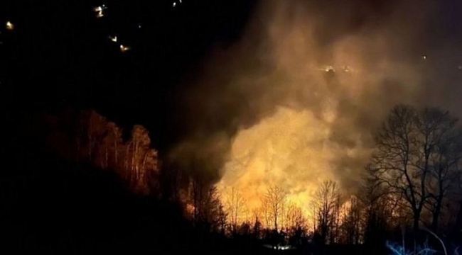 Sakarya'da kontrol altına alınan orman yangını yeniden başladı