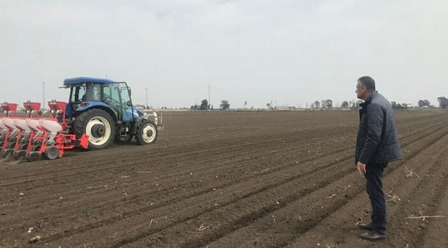 Adana'da depremzede çiftçiler ekim yapıyor
