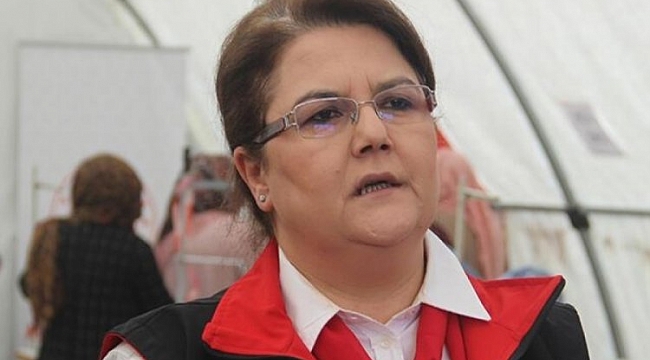 Bakan Yanık: 17 bin 534 TIR yardımı indirdik