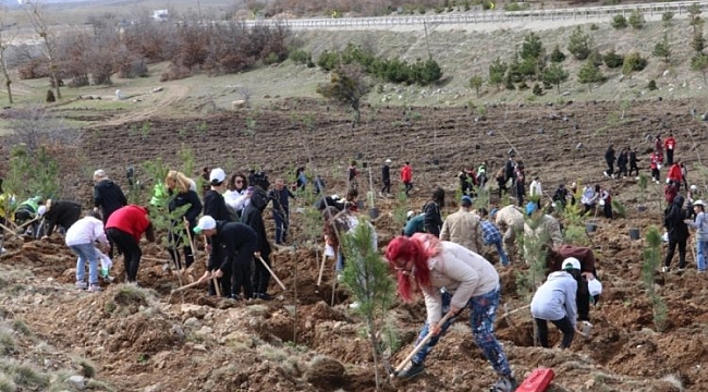 Eskişehir'de '6 Şubat Deprem Şehitleri Ormanı' yapıldı