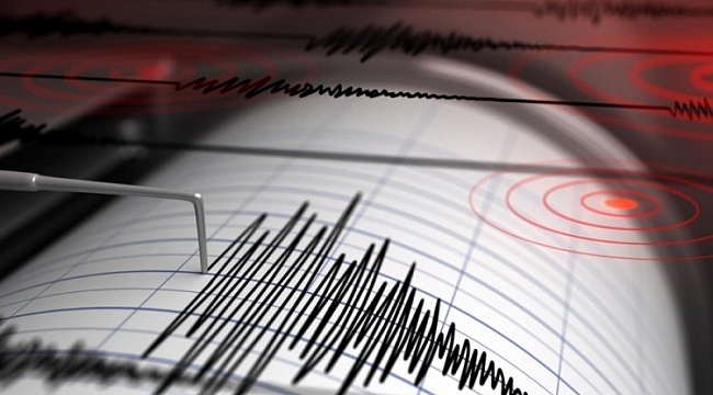 Elazığ'da 4.6 büyüklüğünde deprem