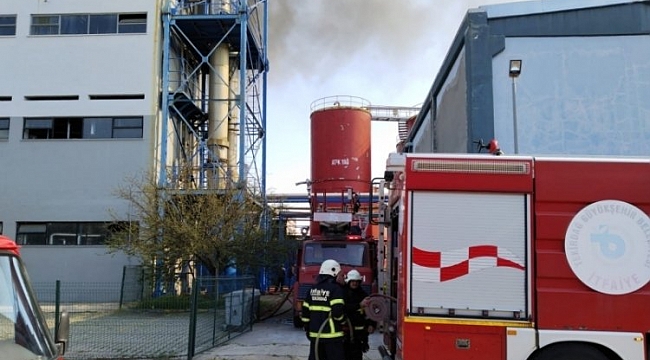 Kırklareli'de fabrikada yangın çıktı