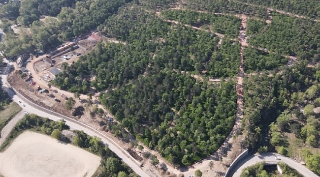 Cumalıkızık'a 100 bin metrekarelik orman parkı