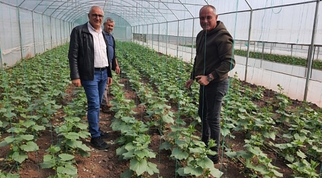 Gemlik Belediyesi'nde organik tarım çalışmaları