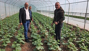 Gemlik Belediyesi'nde organik tarım çalışmaları 