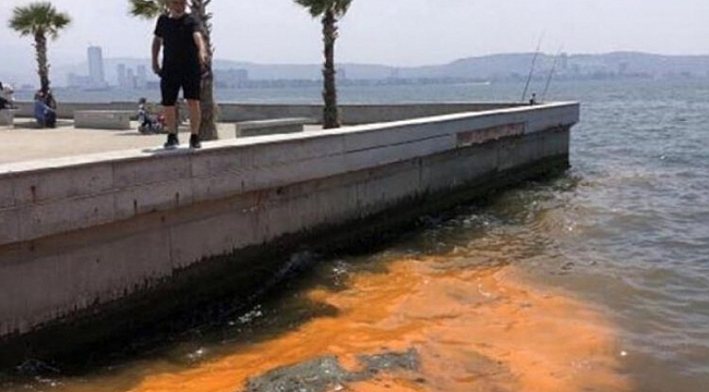 İzmir Körfezi'nde renk değişimi uyarısı!