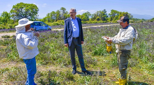 Karacabey'de Longoz ormanlarında görsel şölen oluştu