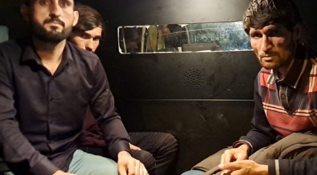 Sakarya'da 4 göçmen yakalandı
