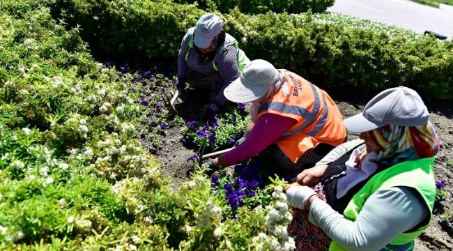 Başkentli kadınların çiçekleri Ankara'yı süslüyor