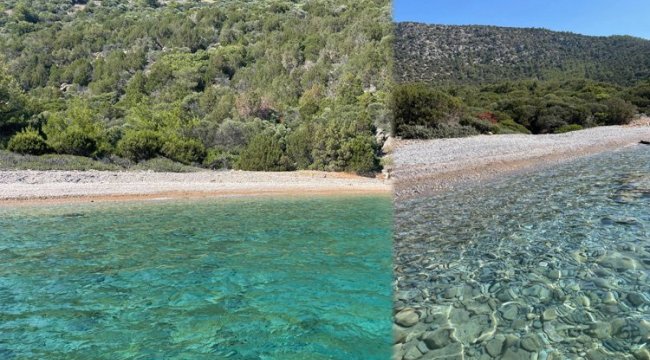 Bodrum sahilleri pırıl pırıl