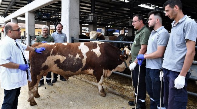Bursa Osmangazi'de kaçan kurbanlıklar onlara emanet