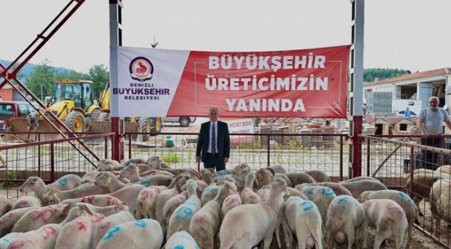 Denizli'de hayvancılığa 'büyük' destek