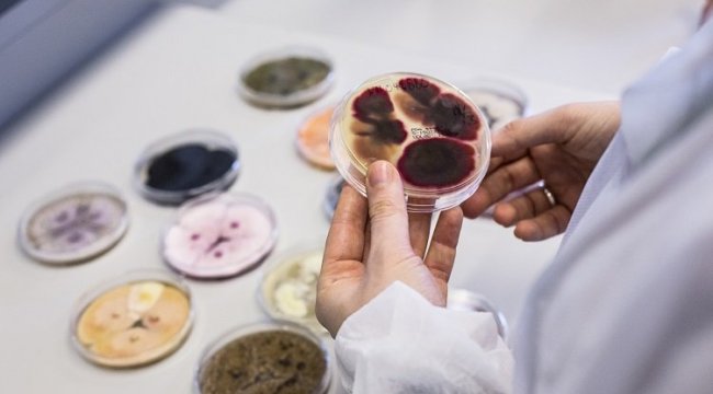 İsraf edilen akşam yemeği iklim krizi sebebi