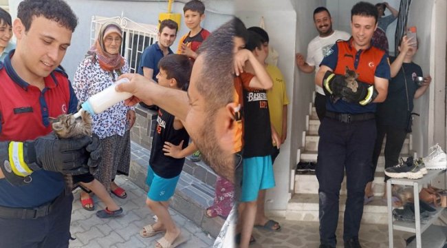 Kedi ve baykuş operasyonu!