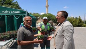 Nevşehir'de mezarlıklarda karanfil dağıtıldı